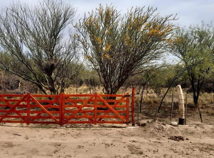 Lote en Villa Dolores — Una Hectárea en Venta en Villa Dolores,,traslasierra!! — Venta, foto 3 de 8