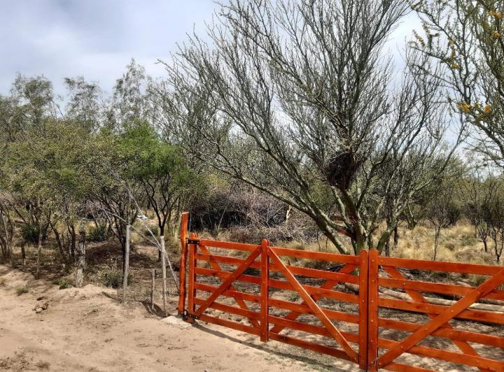 Lote en Villa Dolores — Una Hectárea en Venta en Villa Dolores,,traslasierra!! — Venta, foto 4 de 8