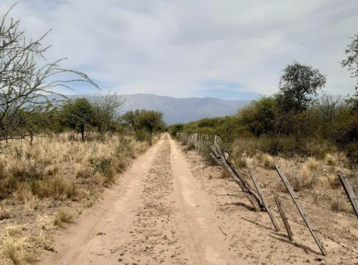 Lote en Villa Dolores — Una Hectárea en Venta en Villa Dolores,,traslasierra!! — Venta, foto 5 de 8