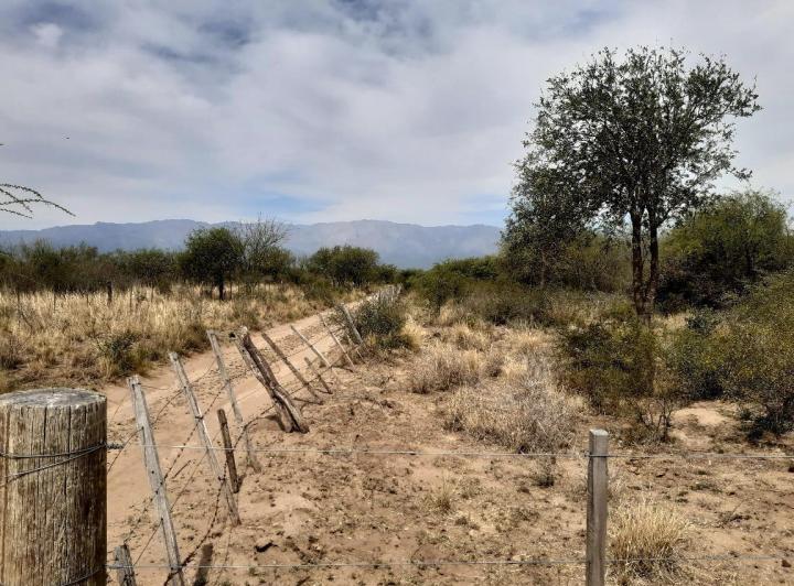 Lote en Villa Dolores — Una Hectárea en Venta en Villa Dolores,,traslasierra!! — Venta, foto 6 de 8