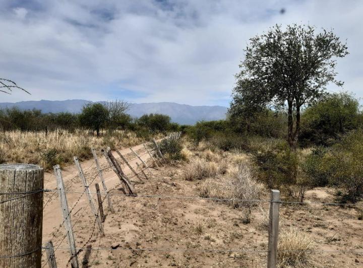 Lote en Villa Dolores — Una Hectárea en Venta en Villa Dolores,,traslasierra!! — Venta, foto 7 de 8
