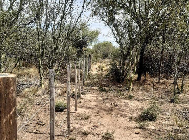 Lote en Villa Dolores — Una Hectárea en Venta en Villa Dolores,,traslasierra!! — Venta, foto 8 de 8