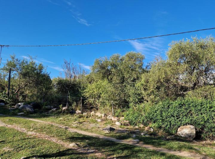 Lote en venta en Yacanto Traslasierra — Terreno en Venta. 2.200 M2. Cerca de Arroyo. Vistas. en Yacanto Traslasierra!!! — Venta, foto 6 de 8