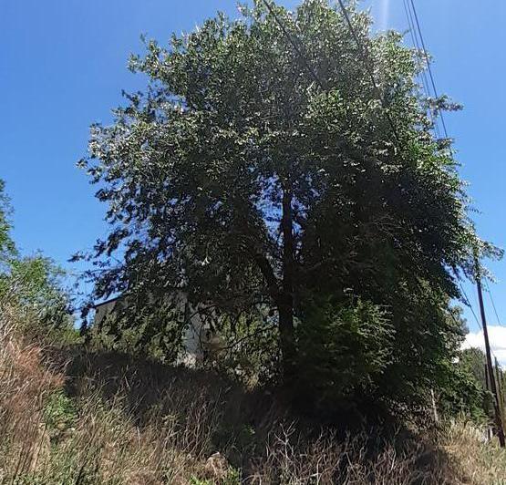 Lote en San Antonio de Arredondo — San Antonio de Arredondo. Cba — Venta, foto 5 de 8