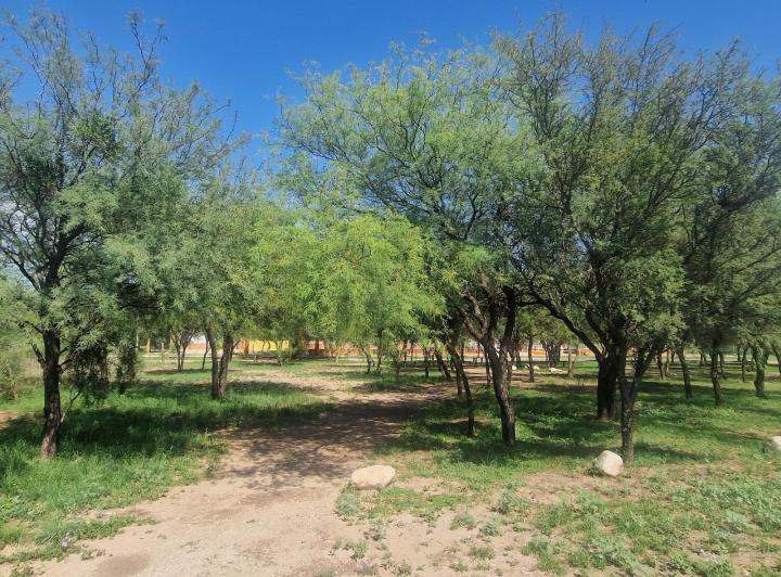 Lote en Las Tapias, Córdoba — Terrenazo en Venta en Las Tapias, Escritura,, Traslasierra!! — Venta, foto 7 de 8