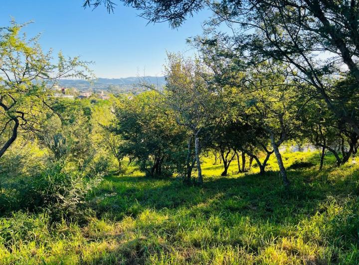 Lote en Estancia El Terrón — Venta - Lote Premium en Estancia El Terrón - Vistas al Pan de Azucar — Venta, foto 6 de 8