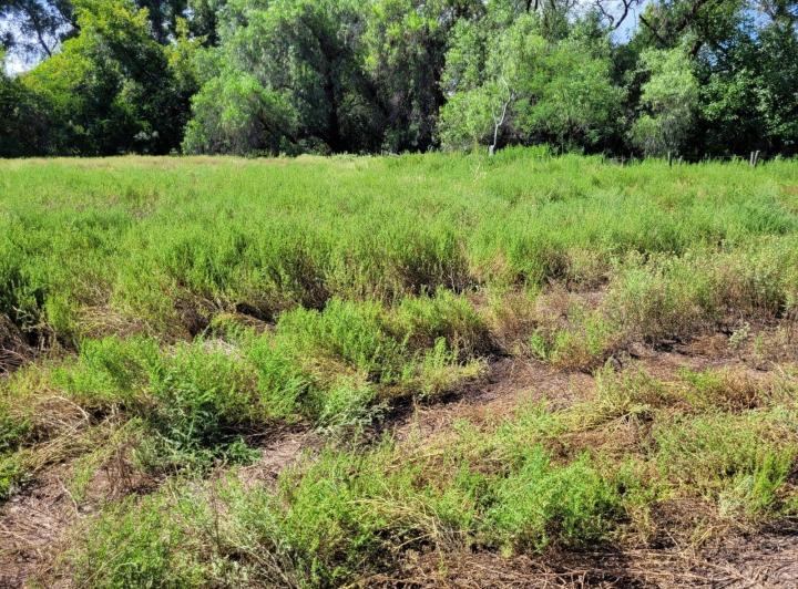Lote en Las Encrucijadas — Las Encrucijadas Villa Dolores Cordoba — Venta, foto 1 de 8