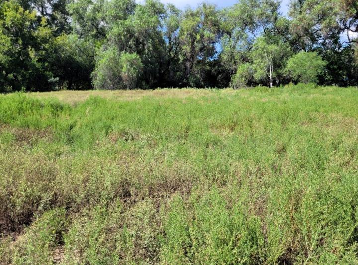 Lote en Las Encrucijadas — Las Encrucijadas Villa Dolores Cordoba — Venta, foto 2 de 8
