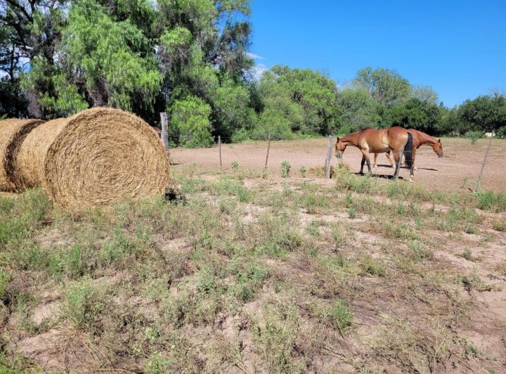 Lote en Las Encrucijadas — Las Encrucijadas Villa Dolores Cordoba — Venta, foto 3 de 8