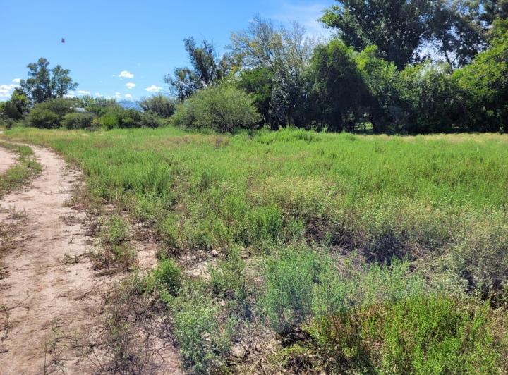 Lote en Las Encrucijadas — Las Encrucijadas Villa Dolores Cordoba — Venta, foto 4 de 8