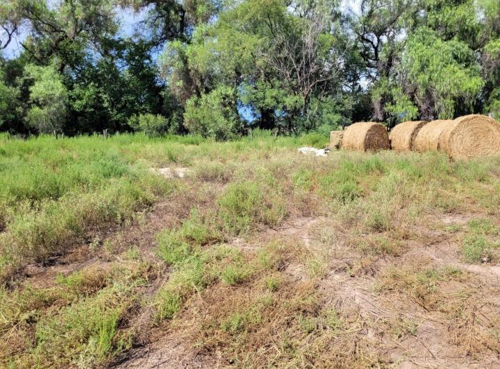 Lote en Las Encrucijadas — Las Encrucijadas Villa Dolores Cordoba — Venta, foto 5 de 8