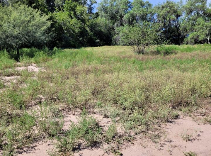 Lote en Las Encrucijadas — Las Encrucijadas Villa Dolores Cordoba — Venta, foto 6 de 8