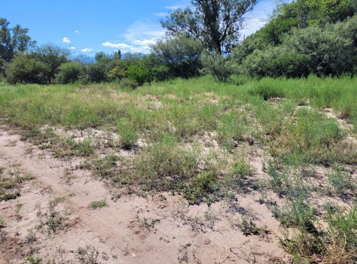 Lote en Las Encrucijadas — Las Encrucijadas Villa Dolores Cordoba — Venta, foto 8 de 8
