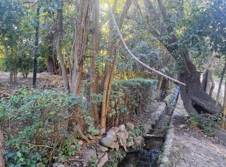 Terreno a 150 m de Ruta 14 en La Población, Traslasierra — Terreno en Venta a 150 Metros de Ruta 14 en La Población, Traslasierra!!! — Venta, foto 7 de 8