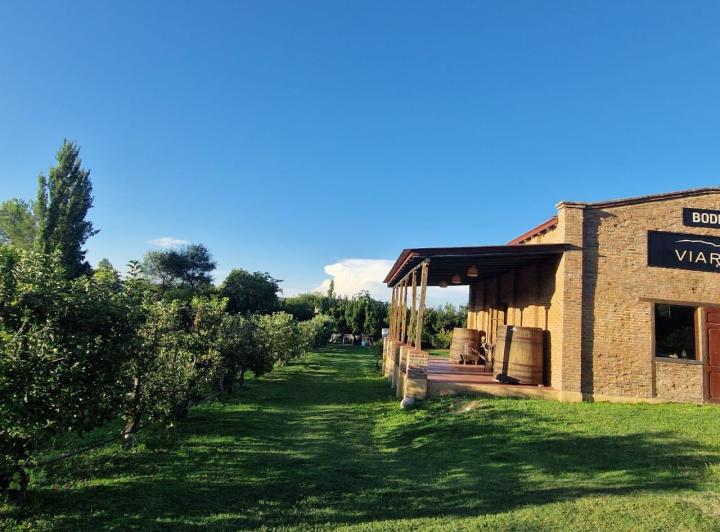 Comercial en Villa de Las Rosas — En Venta Edificio Bodega, Salón de Degustación y Viñedos Villa de Las Rosas...traslasierra!! — Venta, foto 5 de 8