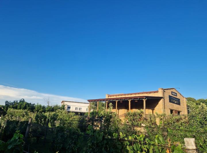 Comercial en Villa de Las Rosas — En Venta Edificio Bodega, Salón de Degustación y Viñedos Villa de Las Rosas...traslasierra!! — Venta, foto 8 de 8