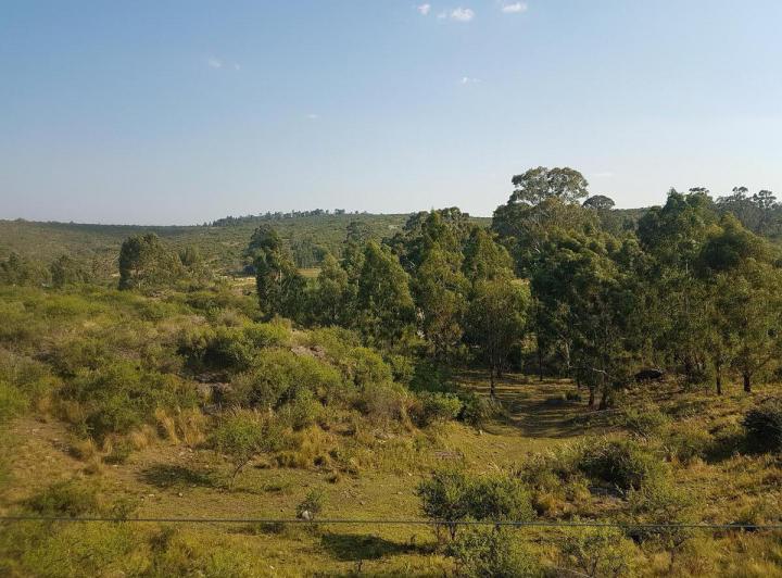 Lote en Los 3 Arroyos — los Tres Arroyos — Venta, foto 6 de 8