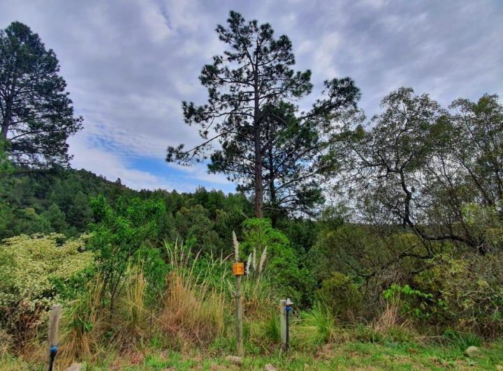 Lote en Potrero de Garay — Estancia la Ernestina. Potrero de Garay. Cba — Venta, foto 4 de 8