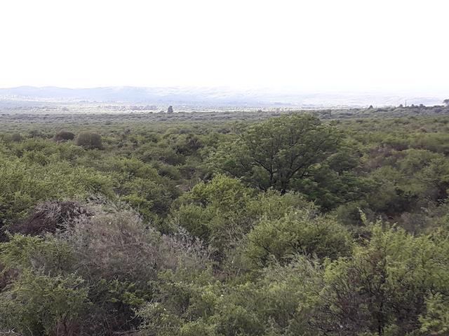 Lote en Achiras Arriba — Campo de 10 Hectáreas en Venta en Achiras Arriba, San Javier, Escritura !!, Traslasierra — Venta, foto 2 de 8