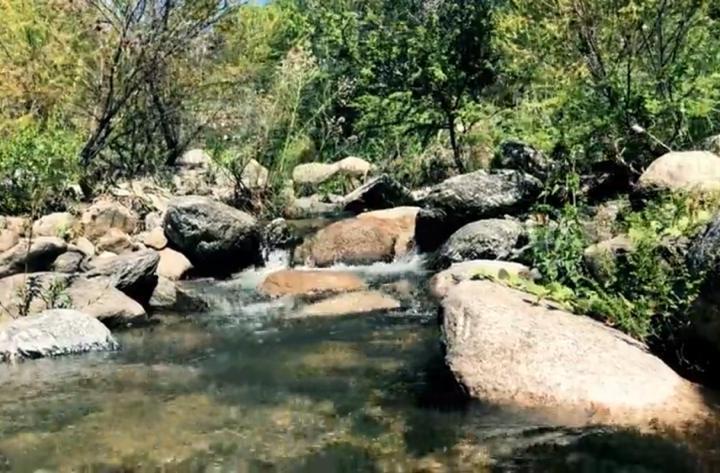 Lote en Achiras Arriba — Campo de 10 Hectáreas en Venta en Achiras Arriba, San Javier, Escritura !!, Traslasierra — Venta, foto 5 de 8