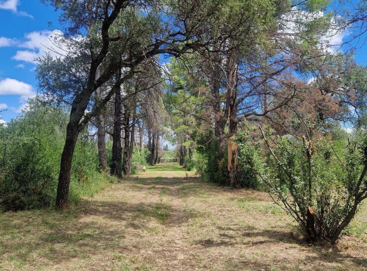 Casa 4 ambientes en La Paz — En Venta Casa , Pileta, 6,5 Hectareas, Vistas, Escritura en La Paz Traslasierra!! — Venta, foto 4 de 8