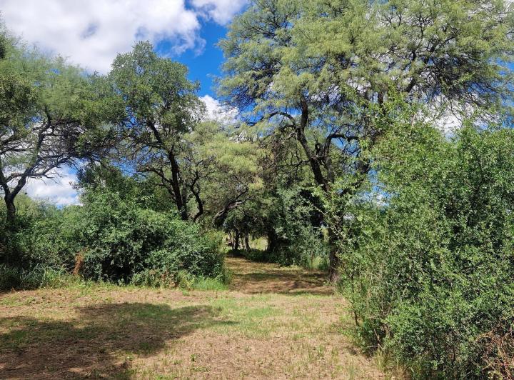 Casa 4 ambientes en La Paz — En Venta Casa , Pileta, 6,5 Hectareas, Vistas, Escritura en La Paz Traslasierra!! — Venta, foto 5 de 8