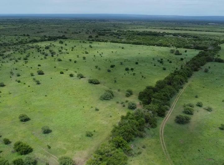 Campo en Venta en Guanaco Boleado, Traslasierra — Se Vende Campo de 53 Hectareas en Guanaco Boleado, Escritura!!,traslasierra!!! — Venta, foto 1 de 8