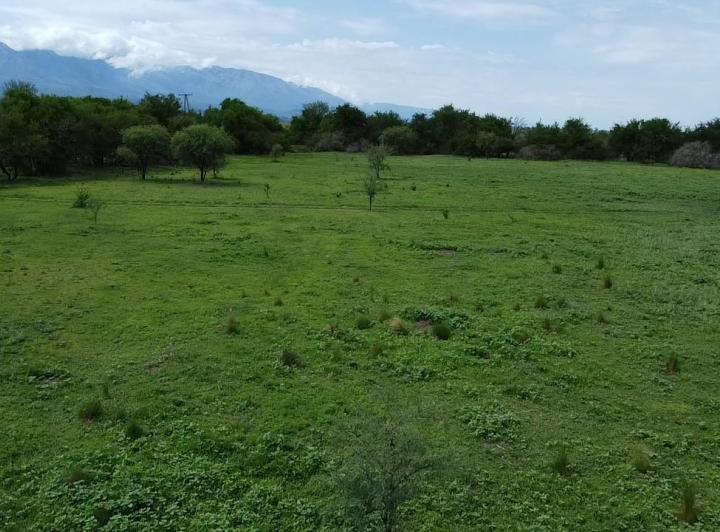 Campo en Venta en Guanaco Boleado, Traslasierra — Se Vende Campo de 53 Hectareas en Guanaco Boleado, Escritura!!,traslasierra!!! — Venta, foto 2 de 8