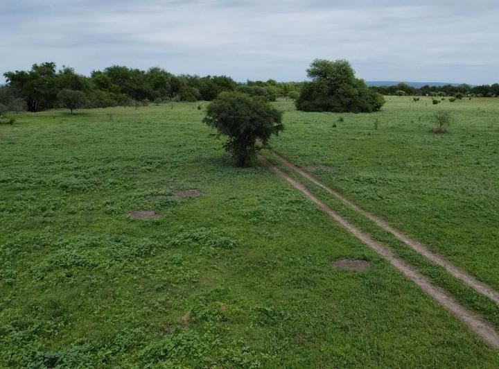 Campo en Venta en Guanaco Boleado, Traslasierra — Se Vende Campo de 53 Hectareas en Guanaco Boleado, Escritura!!,traslasierra!!! — Venta, foto 4 de 8