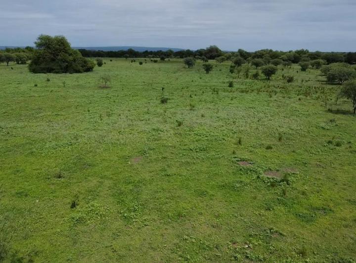 Campo en Venta en Guanaco Boleado, Traslasierra — Se Vende Campo de 53 Hectareas en Guanaco Boleado, Escritura!!,traslasierra!!! — Venta, foto 5 de 8