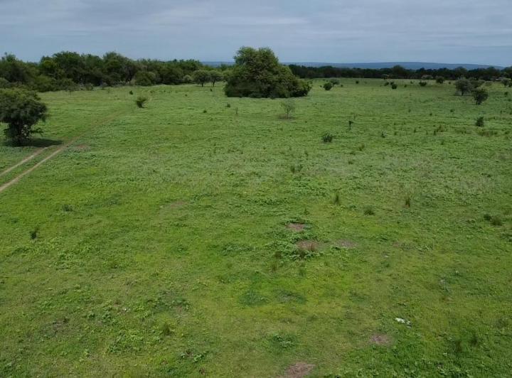 Campo en Venta en Guanaco Boleado, Traslasierra — Se Vende Campo de 53 Hectareas en Guanaco Boleado, Escritura!!,traslasierra!!! — Venta, foto 6 de 8
