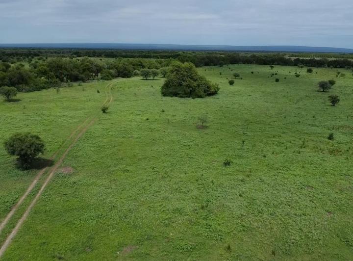 Campo en Venta en Guanaco Boleado, Traslasierra — Se Vende Campo de 53 Hectareas en Guanaco Boleado, Escritura!!,traslasierra!!! — Venta, foto 7 de 8