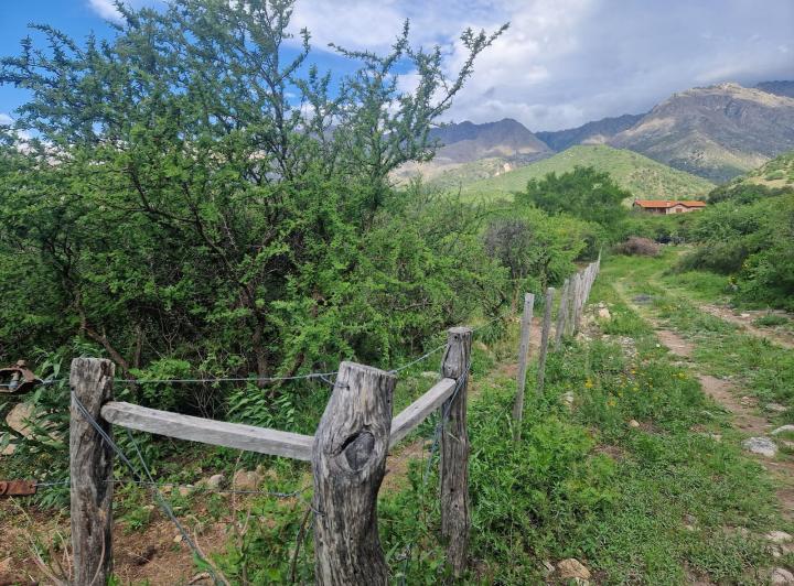 Lote en Las Rabonas — Lindo Terreno en Venta, Vistas, Acceso, Escritura!! en Las Rabonas Traslasierra!! — Venta, foto 1 de 8