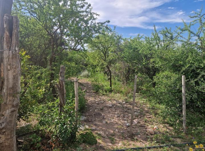 Lote en Las Rabonas — Lindo Terreno en Venta, Vistas, Acceso, Escritura!! en Las Rabonas Traslasierra!! — Venta, foto 3 de 8