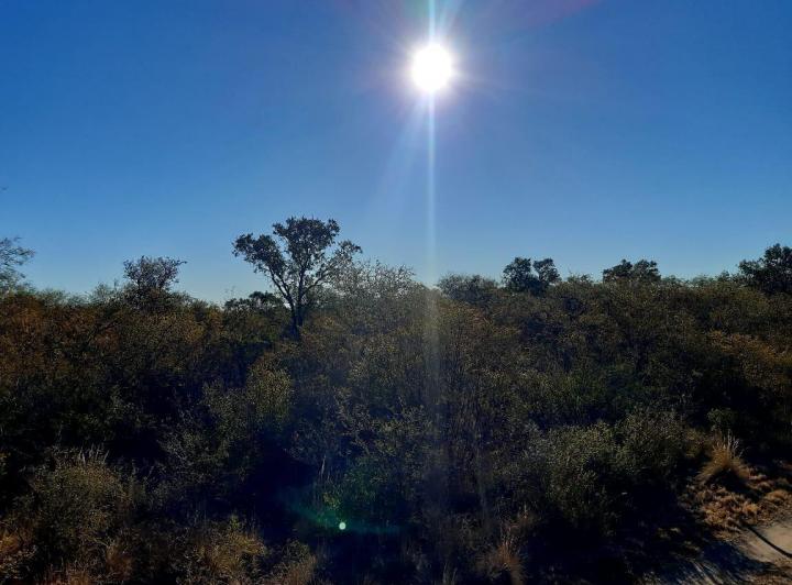 Lote en Yacanto — En Venta Terrenos de Media y 1 Hectarea en Yacanto, Traslasierra!! — Venta, foto 2 de 8