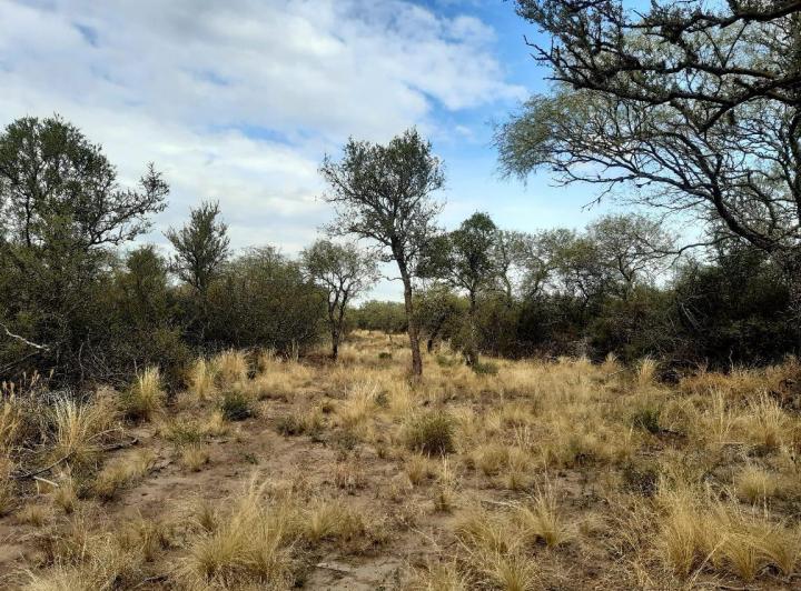 Lote en Yacanto — En Venta Terrenos de Media y 1 Hectarea en Yacanto, Traslasierra!! — Venta, foto 5 de 8