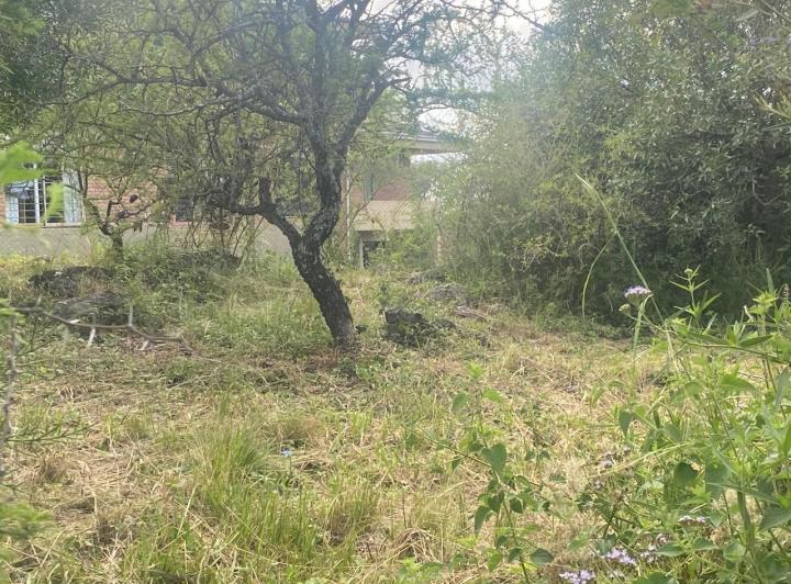 Lote en Tierra Alta — Lote 118 - Macrolote 7 - Barrancas del Sol Tierra Alta — Venta, foto 7 de 8