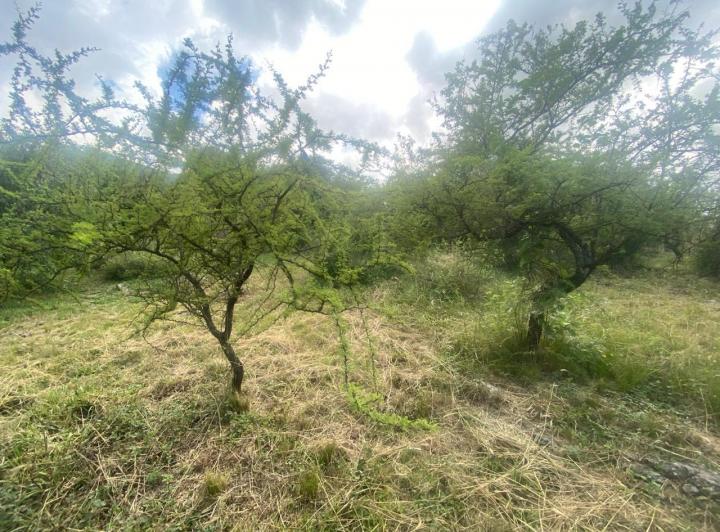 Lote en Tierra Alta — Lote 118 - Macrolote 7 - Barrancas del Sol Tierra Alta — Venta, foto 8 de 8