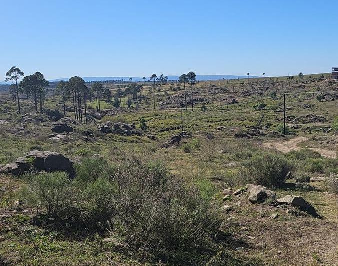 Campo en Villa Yacanto — Yacanto de Calamuchita, Córdoba — Venta, foto 6 de 8