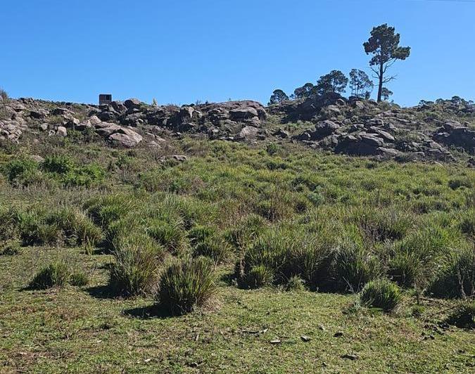 Campo en Villa Yacanto — Yacanto de Calamuchita, Córdoba — Venta, foto 7 de 8
