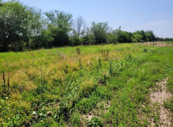 Terreno en Las Encrucijadas — Las Encrucijadas Villa Dolores Cordoba — Venta, foto 2 de 8