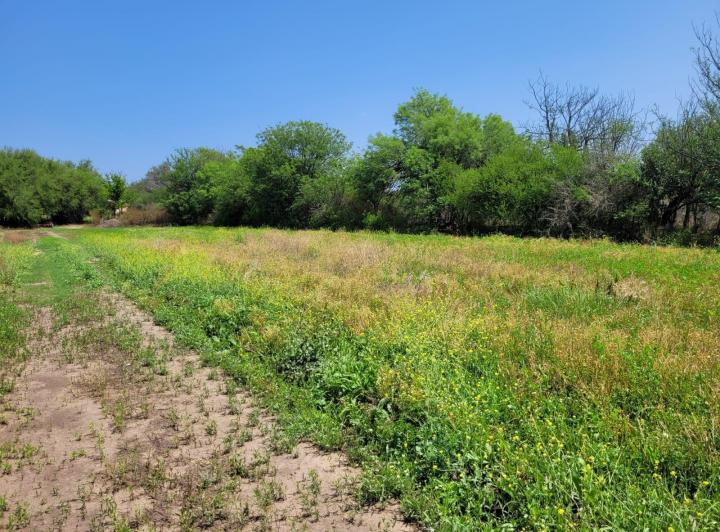 Terreno en Las Encrucijadas — Las Encrucijadas Villa Dolores Cordoba — Venta, foto 3 de 8