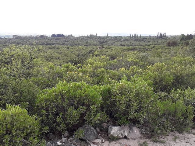 Lote en Rodeo de Piedra — Fabuloso Campo en Venta en Rodeo de Piedra, Traslasierra, 56 Has!! — Venta, foto 1 de 8