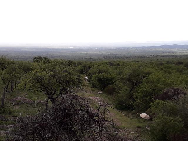 Lote en Rodeo de Piedra — Fabuloso Campo en Venta en Rodeo de Piedra, Traslasierra, 56 Has!! — Venta, foto 3 de 8