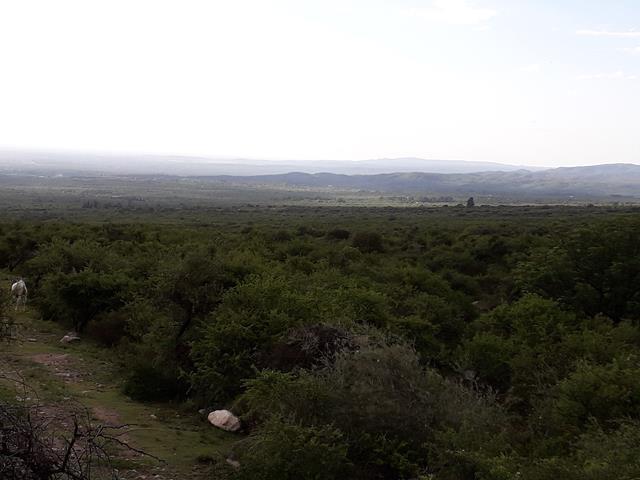 Lote en Rodeo de Piedra — Fabuloso Campo en Venta en Rodeo de Piedra, Traslasierra, 56 Has!! — Venta, foto 4 de 8