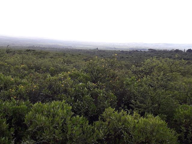 Lote en Rodeo de Piedra — Fabuloso Campo en Venta en Rodeo de Piedra, Traslasierra, 56 Has!! — Venta, foto 6 de 8