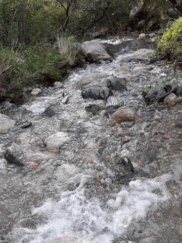 Lote en Rodeo de Piedra — Fabuloso Campo en Venta en Rodeo de Piedra, Traslasierra, 56 Has!! — Venta, foto 7 de 8