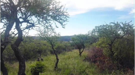 Terreno en Las Rabonas — Venta, foto 1 de 6