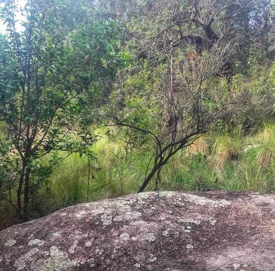 Terreno en Las Rabonas — Venta, foto 2 de 6