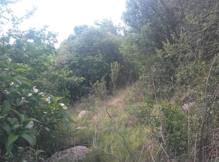 Terreno en Las Rabonas — Venta, foto 5 de 6